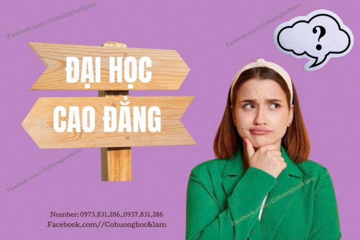 Nên Học Cao Đẳng Hay Đại Học